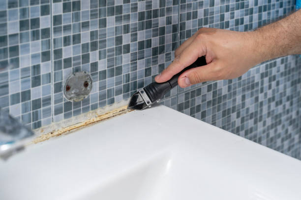 Best Fast Mold Removal  in Applewood, CO